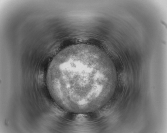 X0000095890222200801251210