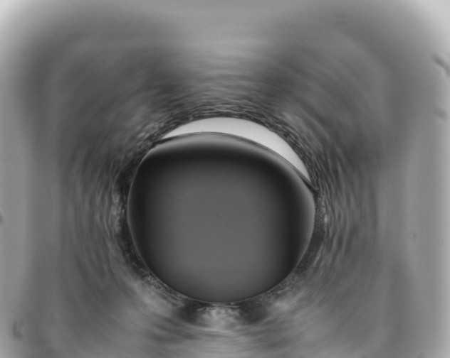 X0000095890223200801251210