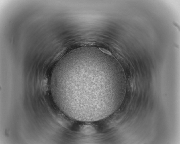 X0000095890224200801251209