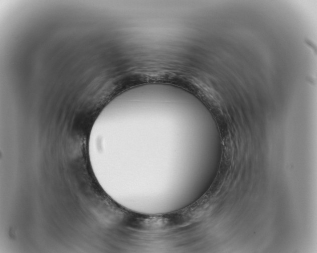 X0000095890225200801251209