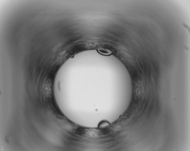 X0000095890226200801251209