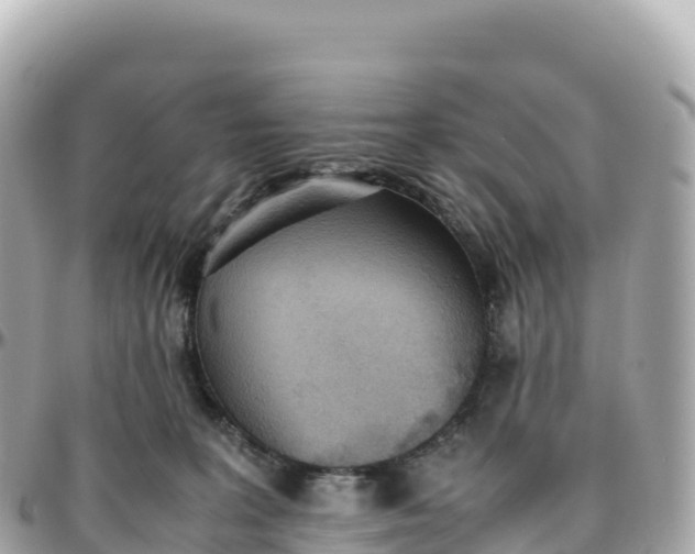 X0000095890227200801251209