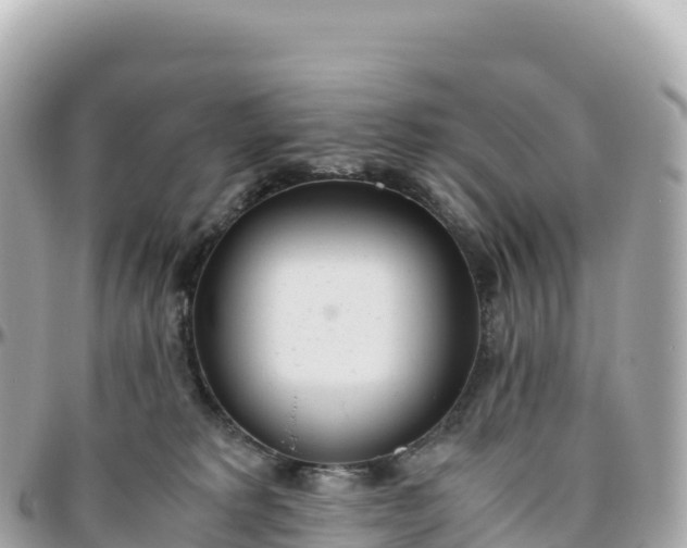 X0000095890229200801251209