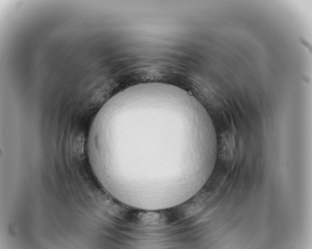 X0000095890230200801251209