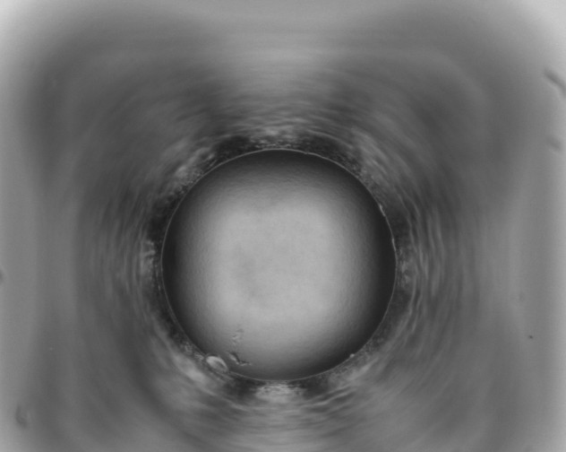 X0000095890231200801251209