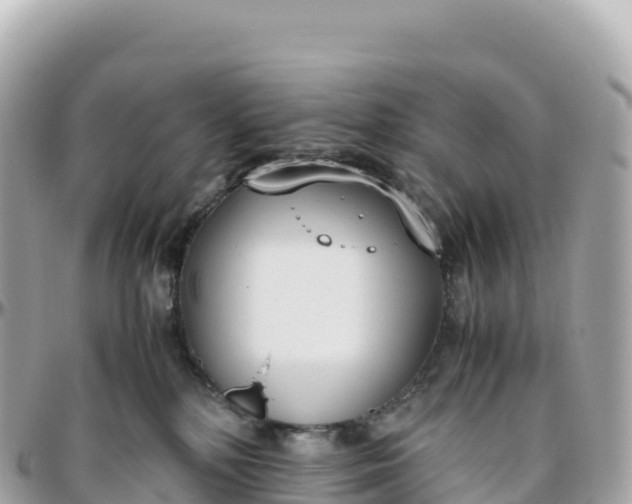 X0000095890232200801251209