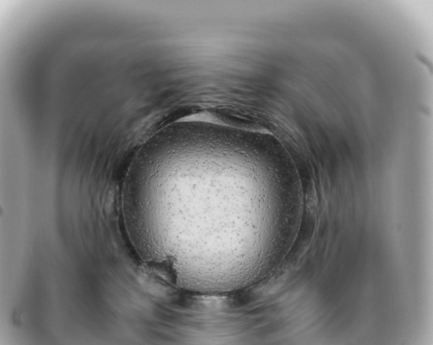 X0000095890233200801251209