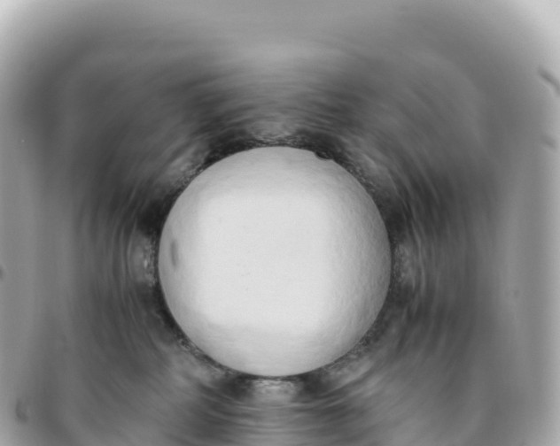 X0000095890234200801251209