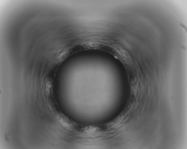 X0000095890235200801251209