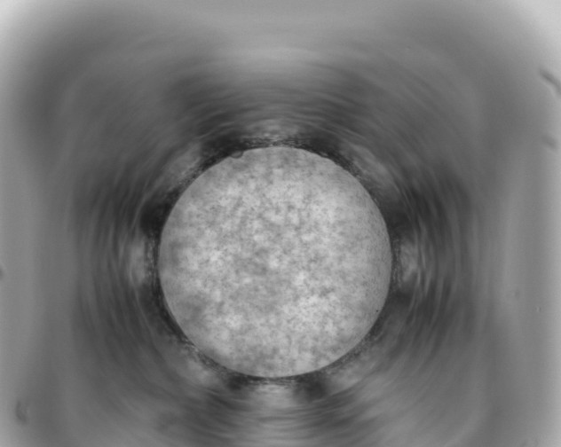 X0000095890236200801251209