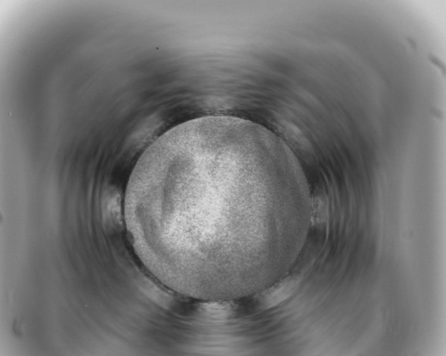 X0000095890238200801251209