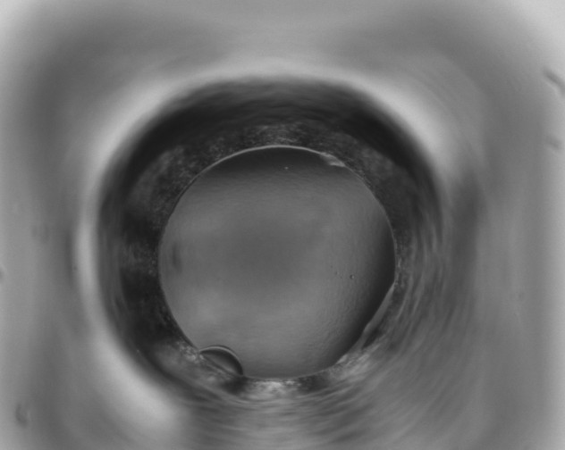 X0000095890239200801251209