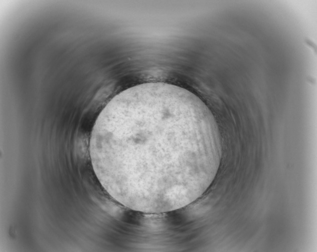 X0000095890240200801251209