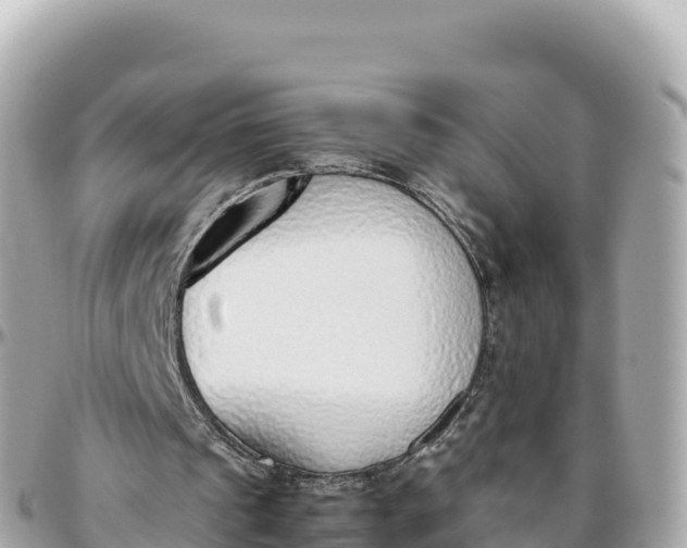 X0000095890241200801251208