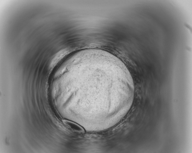 X0000095890242200801251208