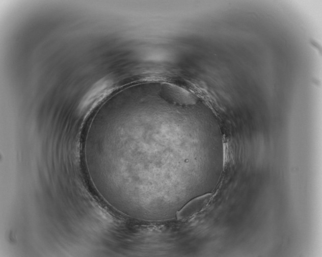 X0000095890243200801251208