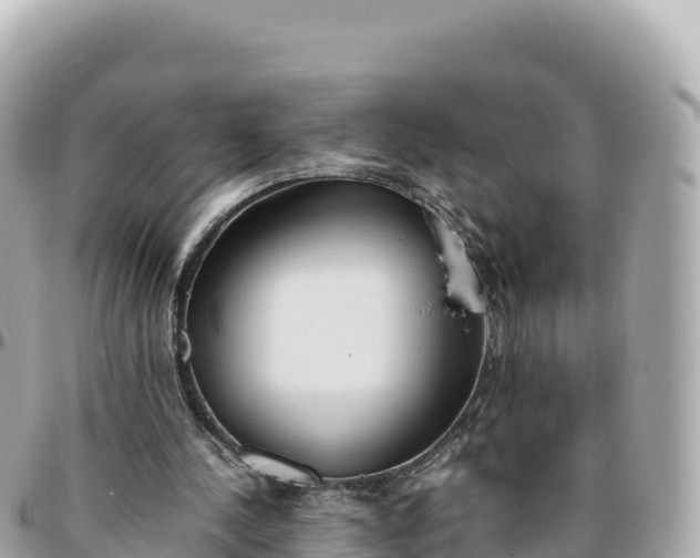 X0000095890244200801251208