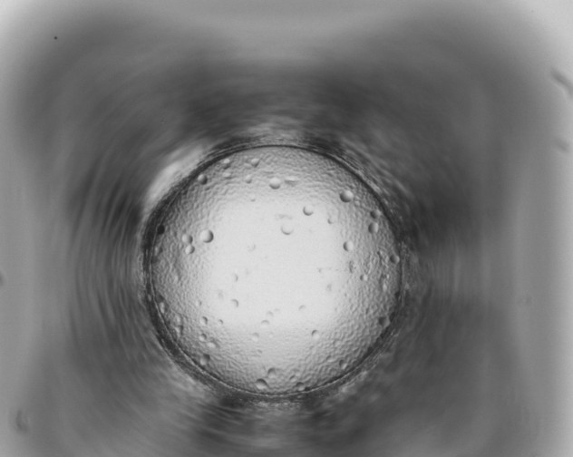 X0000095890245200801251209