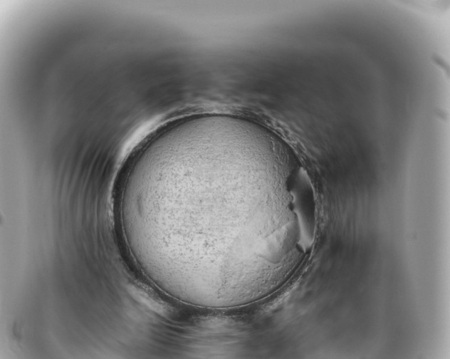 X0000095890246200801251209