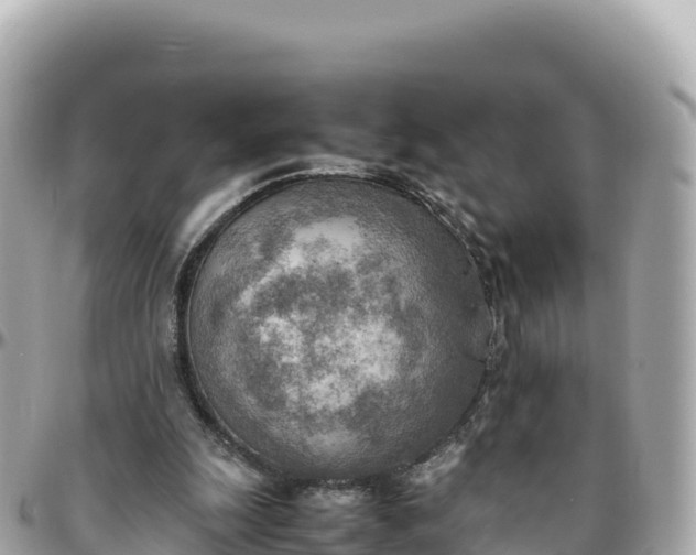 X0000095890247200801251209