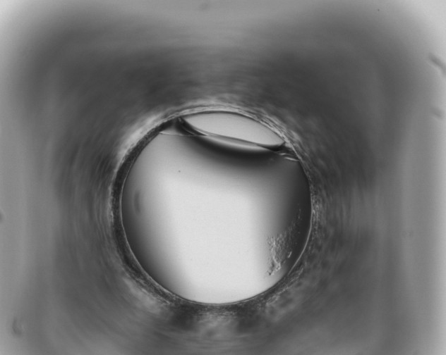 X0000095890248200801251209