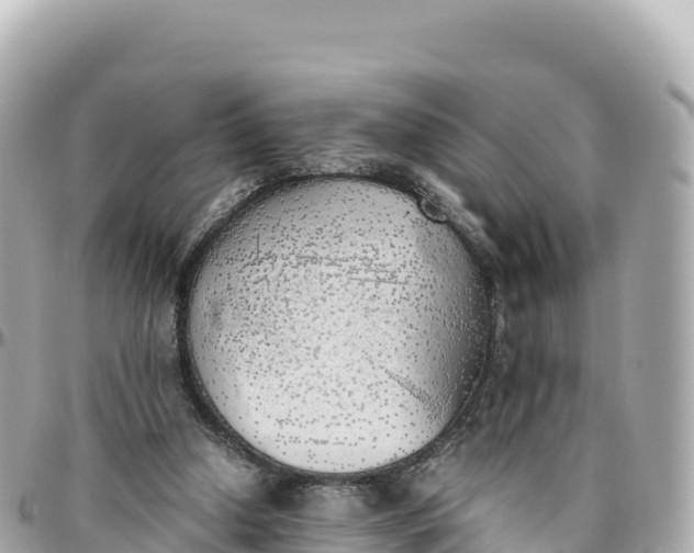 X0000095890250200801251209