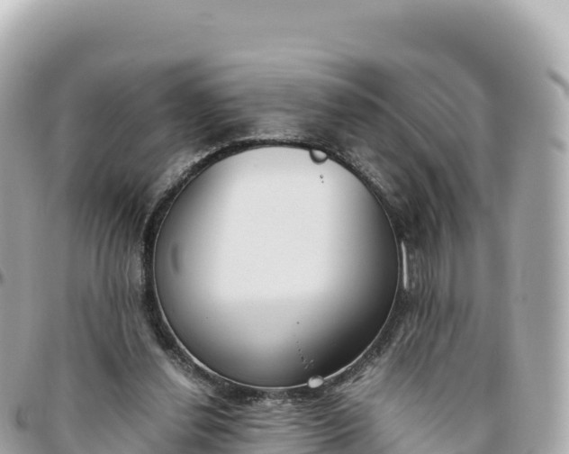 X0000095890252200801251209