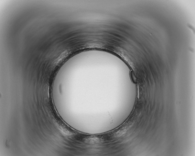 X0000095890253200801251209