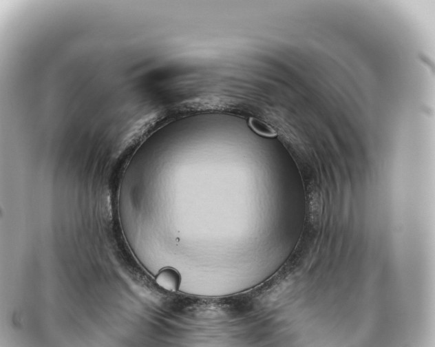 X0000095890254200801251209