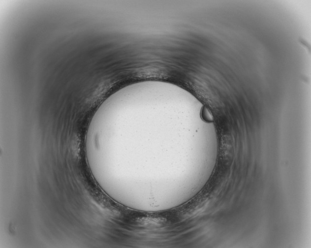 X0000095890255200801251209