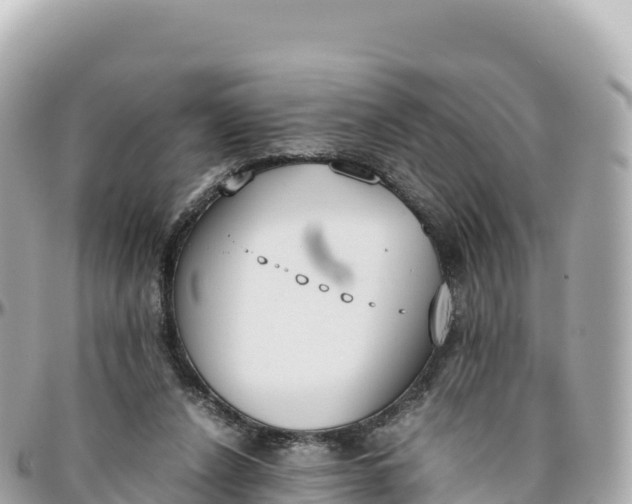 X0000095890256200801251209