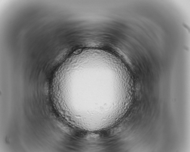 X0000095890257200801251209