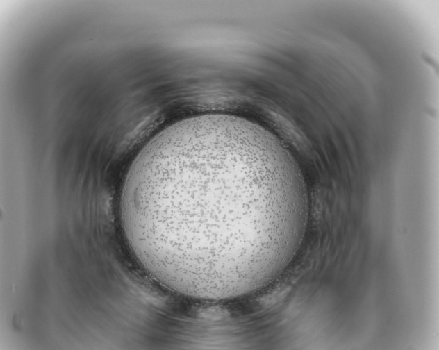 X0000095890258200801251209