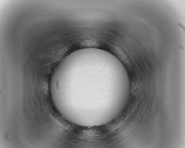 X0000095890259200801251209