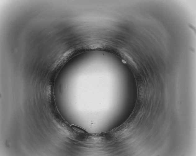 X0000095890260200801251209