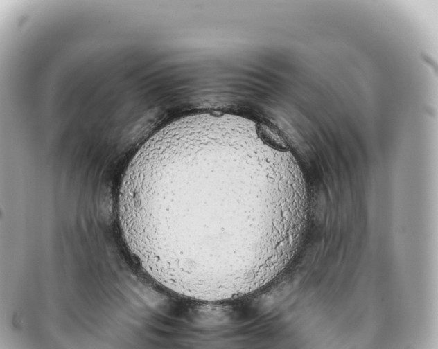 X0000095890261200801251209