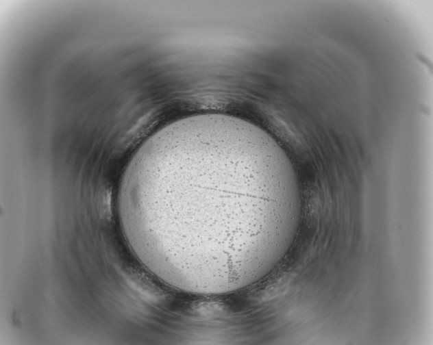 X0000095890262200801251209