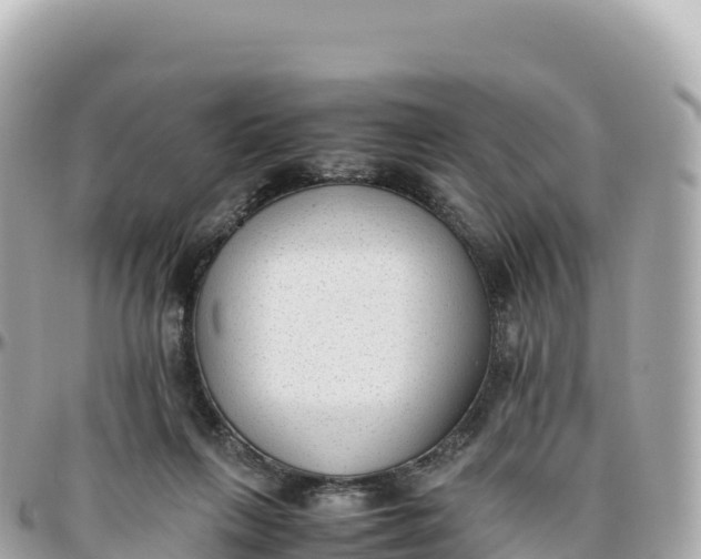 X0000095890263200801251209