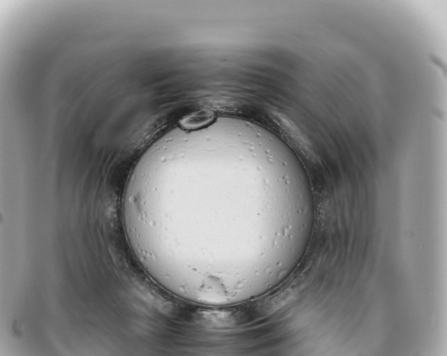 X0000095890265200801251209