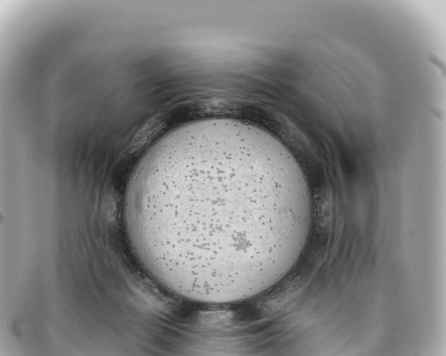 X0000095890266200801251209