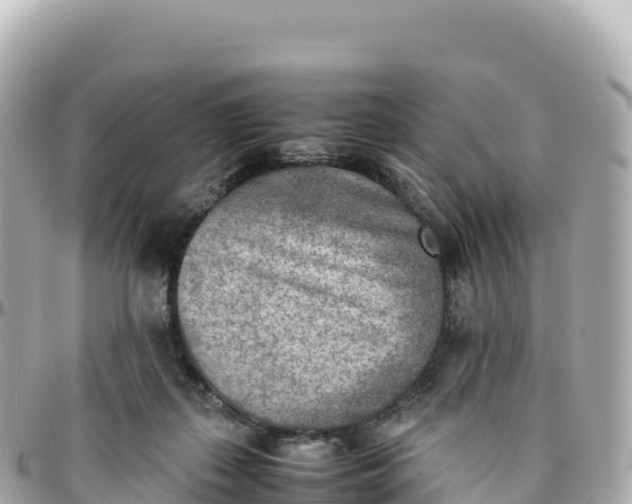 X0000095890267200801251209