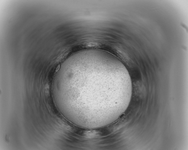 X0000095890269200801251209