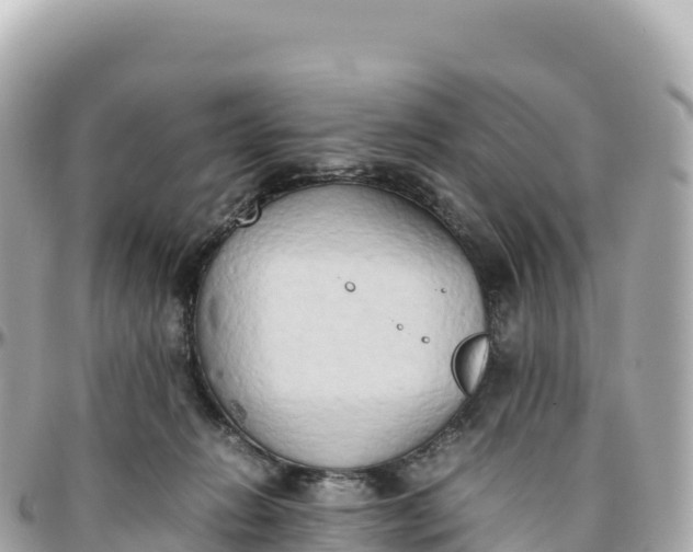 X0000095890270200801251209