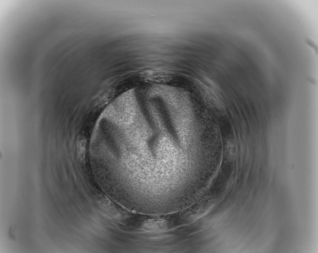 X0000095890271200801251209