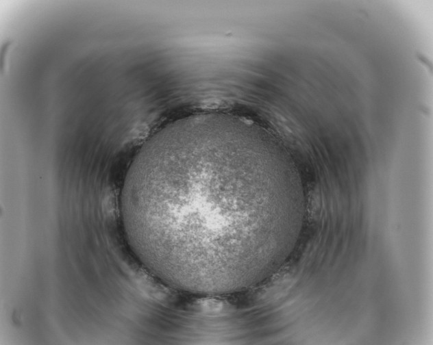 X0000095890272200801251209