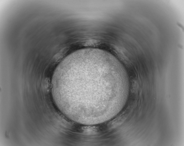 X0000095890273200801251209