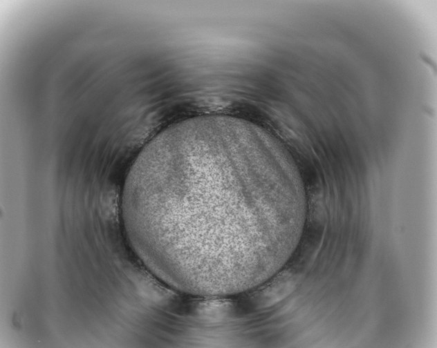 X0000095890274200801251209