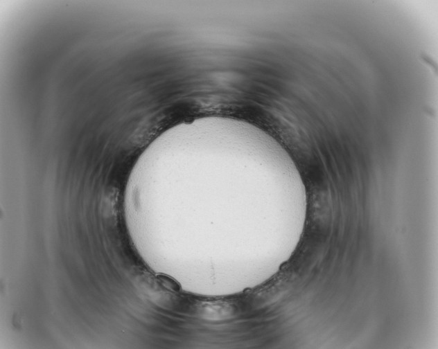 X0000095890275200801251209