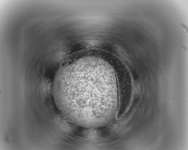 X0000095890276200801251209