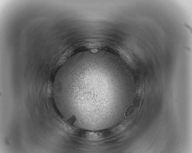 X0000095890277200801251209